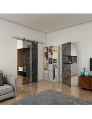 Glasschiebetür PIPE-LINE - Fineprint Model 113 Schwarz auf Grauglas