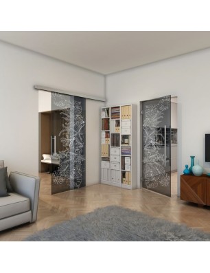 Pendeltür - Fineprint Model 082 Weiss auf Grauglas