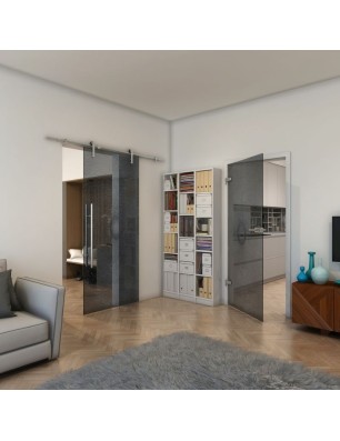 Ganzglastür - Fineprint Model 007 Schwarz auf Grauglas