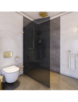 Walk In Dusche Royal 12-Chrom-Grauglas