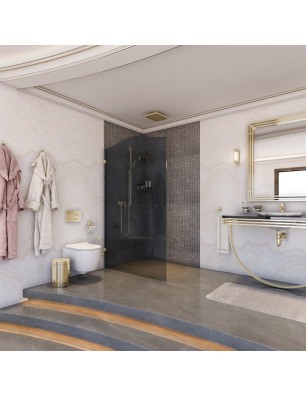 Walk In Dusche Royal 12-Chrom-Grauglas