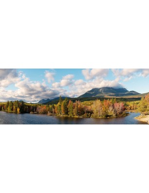 Glas Küchenrückwand 6 mm ESG Motive KRWM-0037