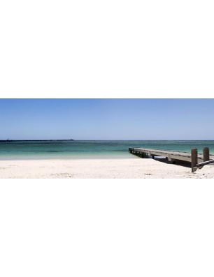 Glas Küchenrückwand 6 mm ESG Motive KRWM-0204