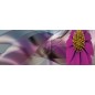 Glas Küchenrückwand 6 mm ESG Motive KRWM-0226 Glas Küchenrückwand 6 mm ESG Motive KRWM-0226