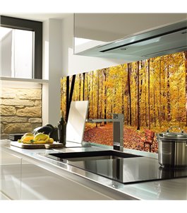 Glas Küchenrückwand 6 mm ESG Motive KRWM-0229