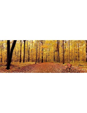 Glas Küchenrückwand 6 mm ESG Motive KRWM-0229