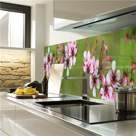 Glas Küchenrückwand 6 mm ESG Motive KRWM-0245