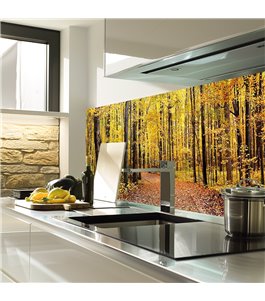 Glas Küchenrückwand 6 mm ESG Motive KRWM-0256