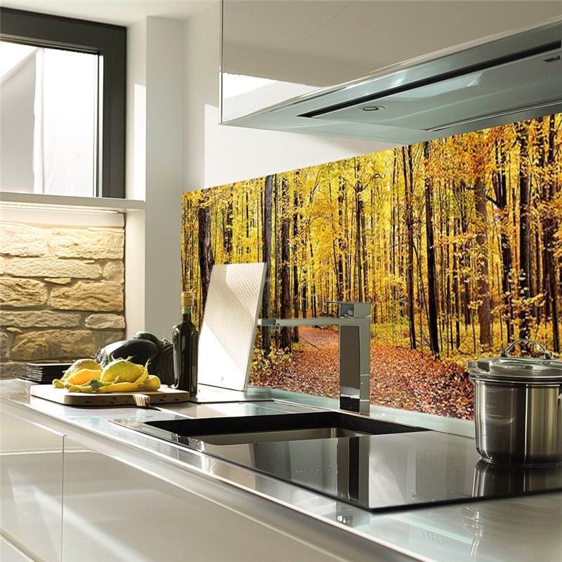 Glas Küchenrückwand 6 mm ESG Motive KRWM-0256