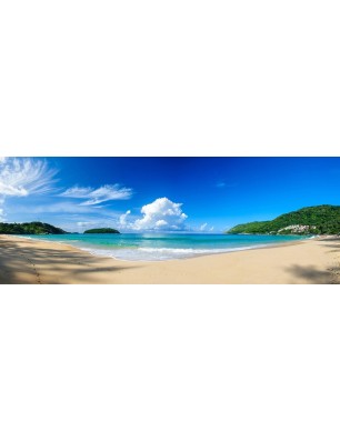 Glas Küchenrückwand 6 mm ESG Motive KRWM-0261