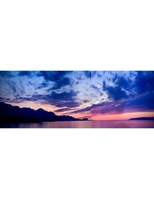 Glas Küchenrückwand 6 mm ESG Motive KRWM-0263