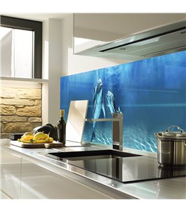 Glas Küchenrückwand 6 mm ESG Motive KRWM-0306