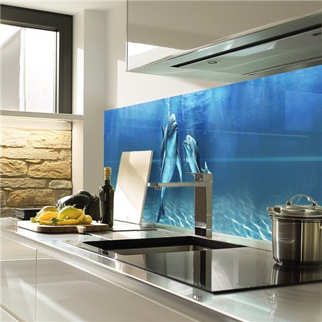 Glas Küchenrückwand 6 mm ESG Motive KRWM-0306