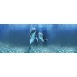 Glas Küchenrückwand 6 mm ESG Motive KRWM-0306 Glas Küchenrückwand 6 mm ESG Motive KRWM-0306