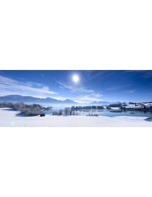 Glas Küchenrückwand 6 mm ESG Motive KRWM-0308