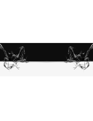 Glas Küchenrückwand 6 mm ESG Motive KRWM-0332