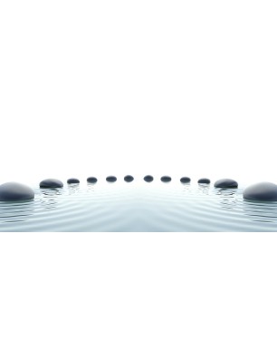 Glas Küchenrückwand 6 mm ESG Motive KRWM-0337