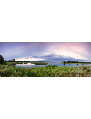 Glas Küchenrückwand 6 mm ESG Motive KRWM-0351