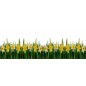 Glas Küchenrückwand 6 mm ESG Motive KRWM-0358 Glas Küchenrückwand 6 mm ESG Motive KRWM-0358