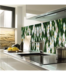 Glas Küchenrückwand 6 mm ESG Motive KRWM-0364