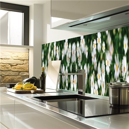 Glas Küchenrückwand 6 mm ESG Motive KRWM-0364