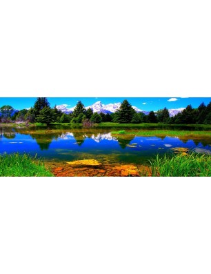 Glas Küchenrückwand 6 mm ESG Motive KRWM-0387