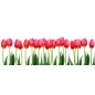 Glas Küchenrückwand 6 mm ESG Motive KRWM-0390 Glas Küchenrückwand 6 mm ESG Motive KRWM-0390