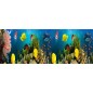 Glas Küchenrückwand 6 mm ESG Motive KRWM-0391