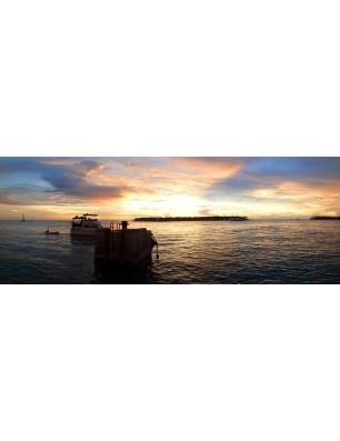 Glas Küchenrückwand 6 mm ESG Motive KRWM-0394