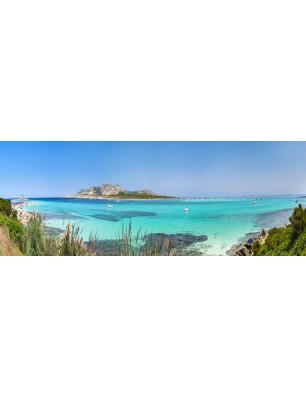 Glas Küchenrückwand 6 mm ESG Motive KRWM-0396