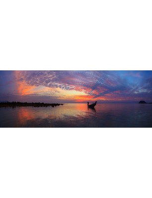 Glas Küchenrückwand 6 mm ESG Motive KRWM-0397