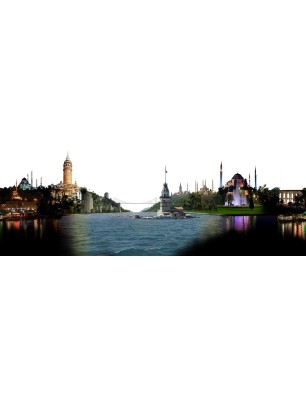 Glas Küchenrückwand 6 mm ESG Motive KRWM-0398