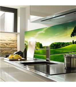 Glas Küchenrückwand 6 mm ESG Motive KRWM-0402