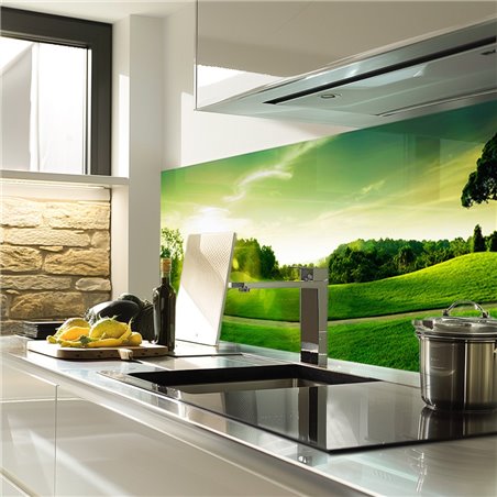 Glas Küchenrückwand 6 mm ESG Motive KRWM-0402