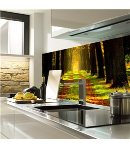 Glas Küchenrückwand 6 mm ESG Motive KRWM-0409