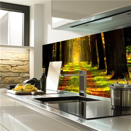 Glas Küchenrückwand 6 mm ESG Motive KRWM-0409