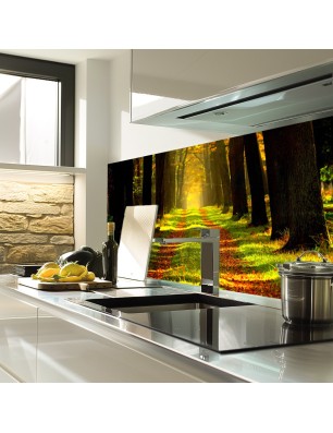 Glas Küchenrückwand 6 mm ESG Motive KRWM-0409