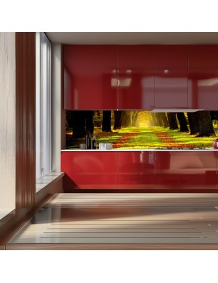 Glas Küchenrückwand 6 mm ESG Motive KRWM-0409