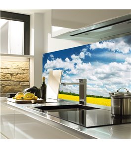 Glas Küchenrückwand 6 mm ESG Motive KRWM-0419