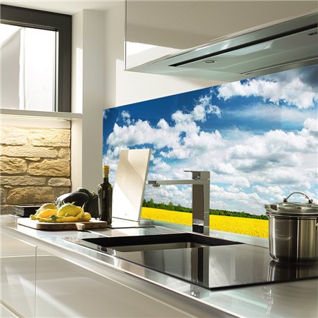 Glas Küchenrückwand 6 mm ESG Motive KRWM-0419