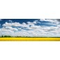 Glas Küchenrückwand 6 mm ESG Motive KRWM-0419