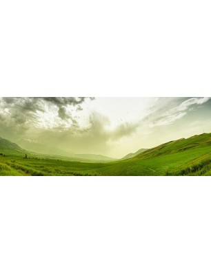 Glas Küchenrückwand 6 mm ESG Motive KRWM-0425