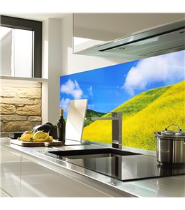 Glas Küchenrückwand 6 mm ESG Motive KRWM-0431