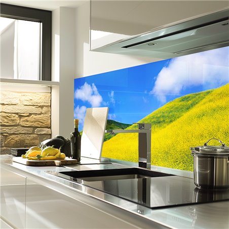 Glas Küchenrückwand 6 mm ESG Motive KRWM-0431