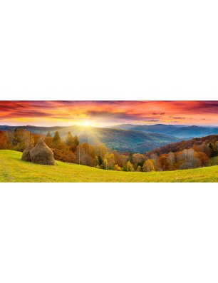 Glas Küchenrückwand 6 mm ESG Motive KRWM-0442