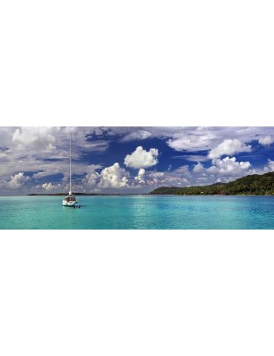 Glas Küchenrückwand 6 mm ESG Motive KRWM-0445