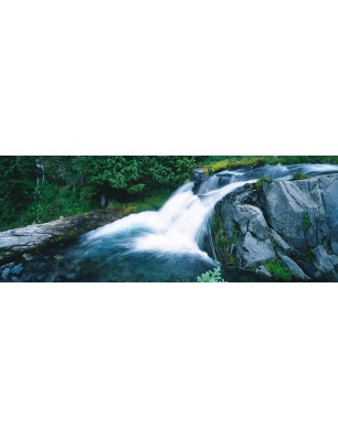 Glas Küchenrückwand 6 mm ESG Motive KRWM-0448