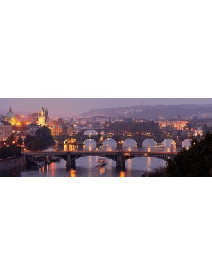 Glas Küchenrückwand 6 mm ESG Motive KRWM-0450