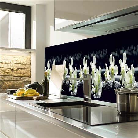 Glas Küchenrückwand 6 mm ESG Motive KRWM-0459