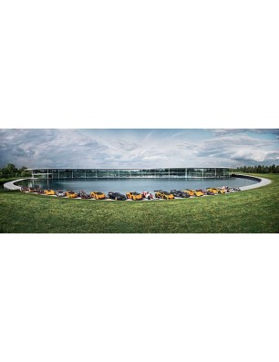 Glas Küchenrückwand 6 mm ESG Motive KRWM-0461